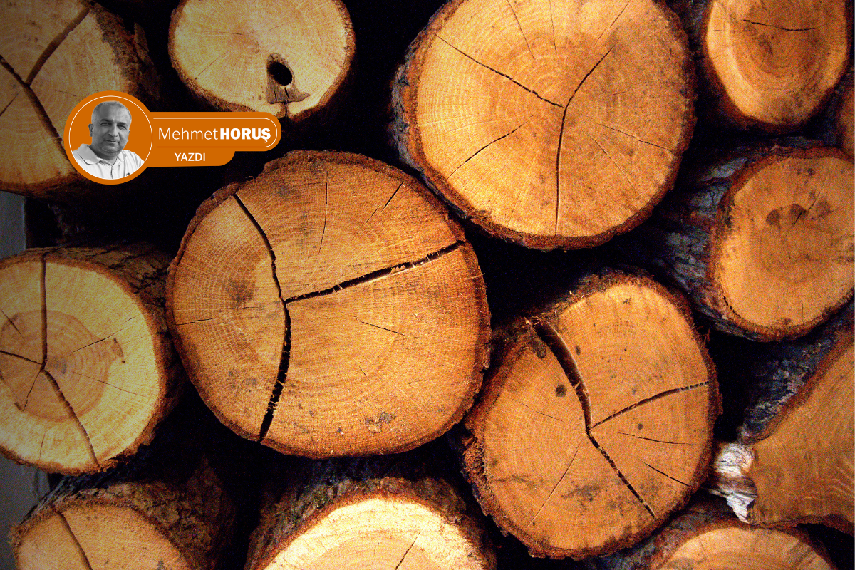 Odun hırsızlığı