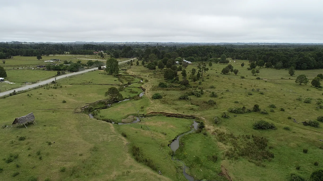 Araştırma: Monte Verde Amerika’nın en eski yerleşimi olmayabilir mi?