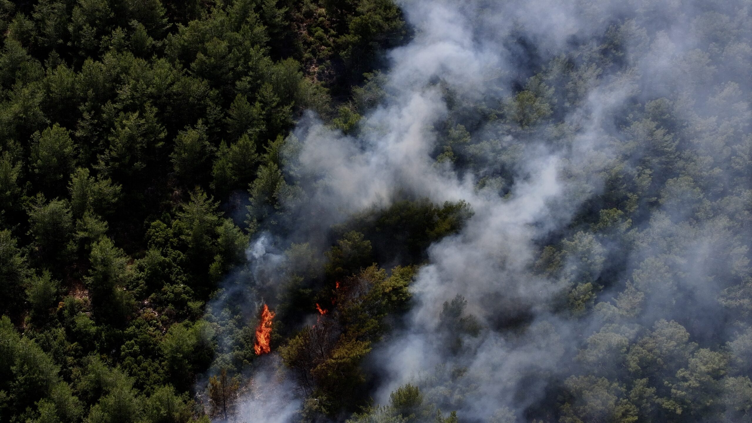 Fethiye’de orman yangınına müdahale ediliyor