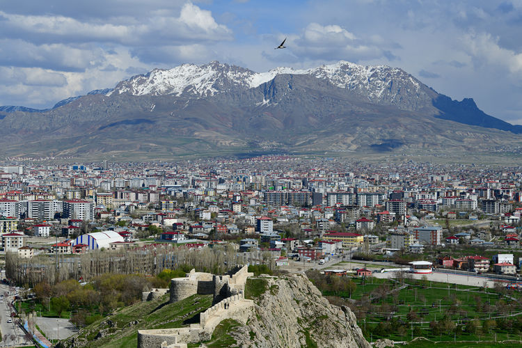 Van’da şiddet sarmalı: 1 yılda 32 ölüm
