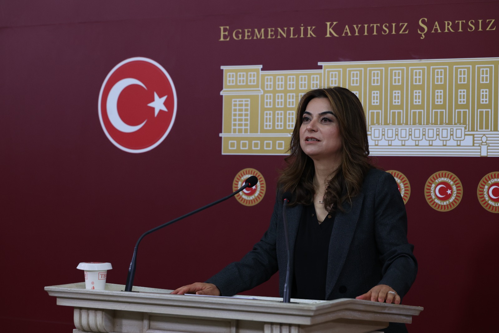 Gülistan Kılıç Koçyiğit: Meclis raporu yol haritası niteliğindedir