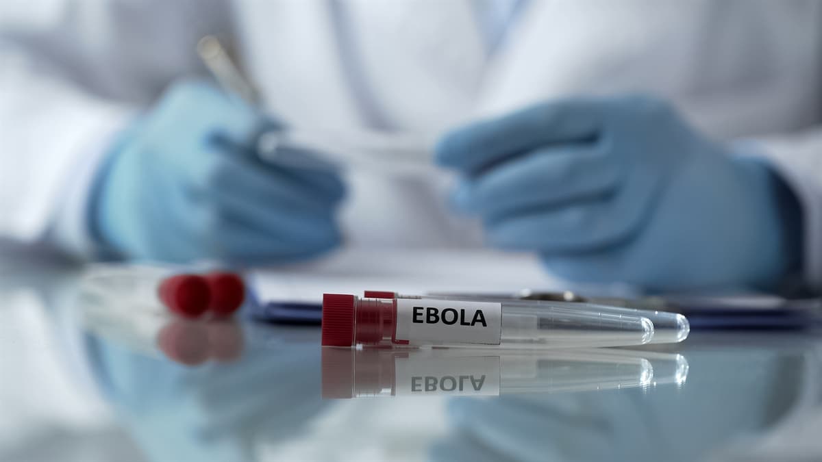 Ebola salgını büyüyor: 10 ülke için risk uyarısı