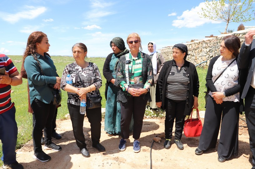 Midyat’ta Ezidilerden GES onayına tepki: ‘Mezarlarımızın üzerine santral istemiyoruz’