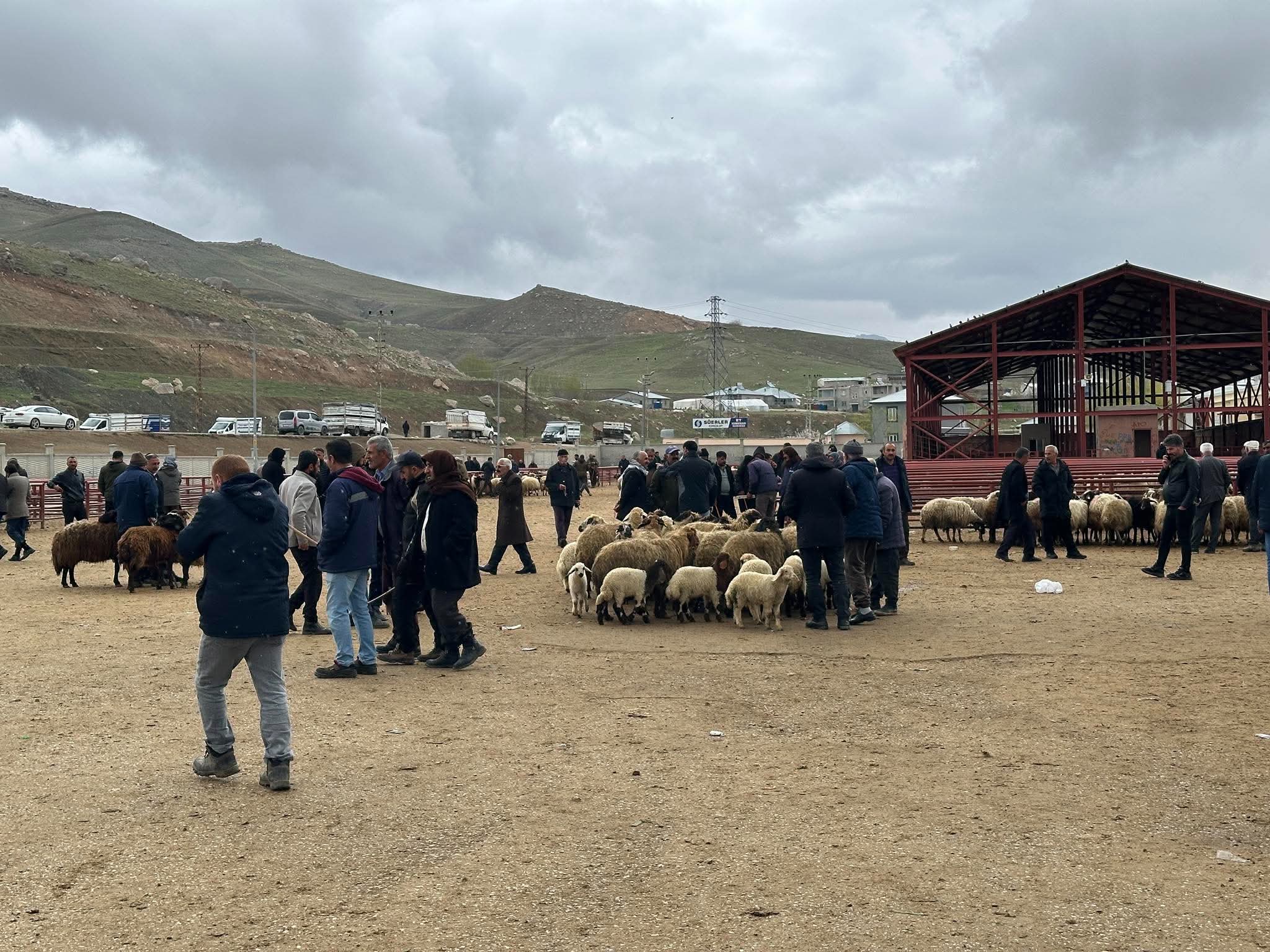 Van’da otlak alan nedeniyle silahlı kavga: 1 ölü, 13 yaralı