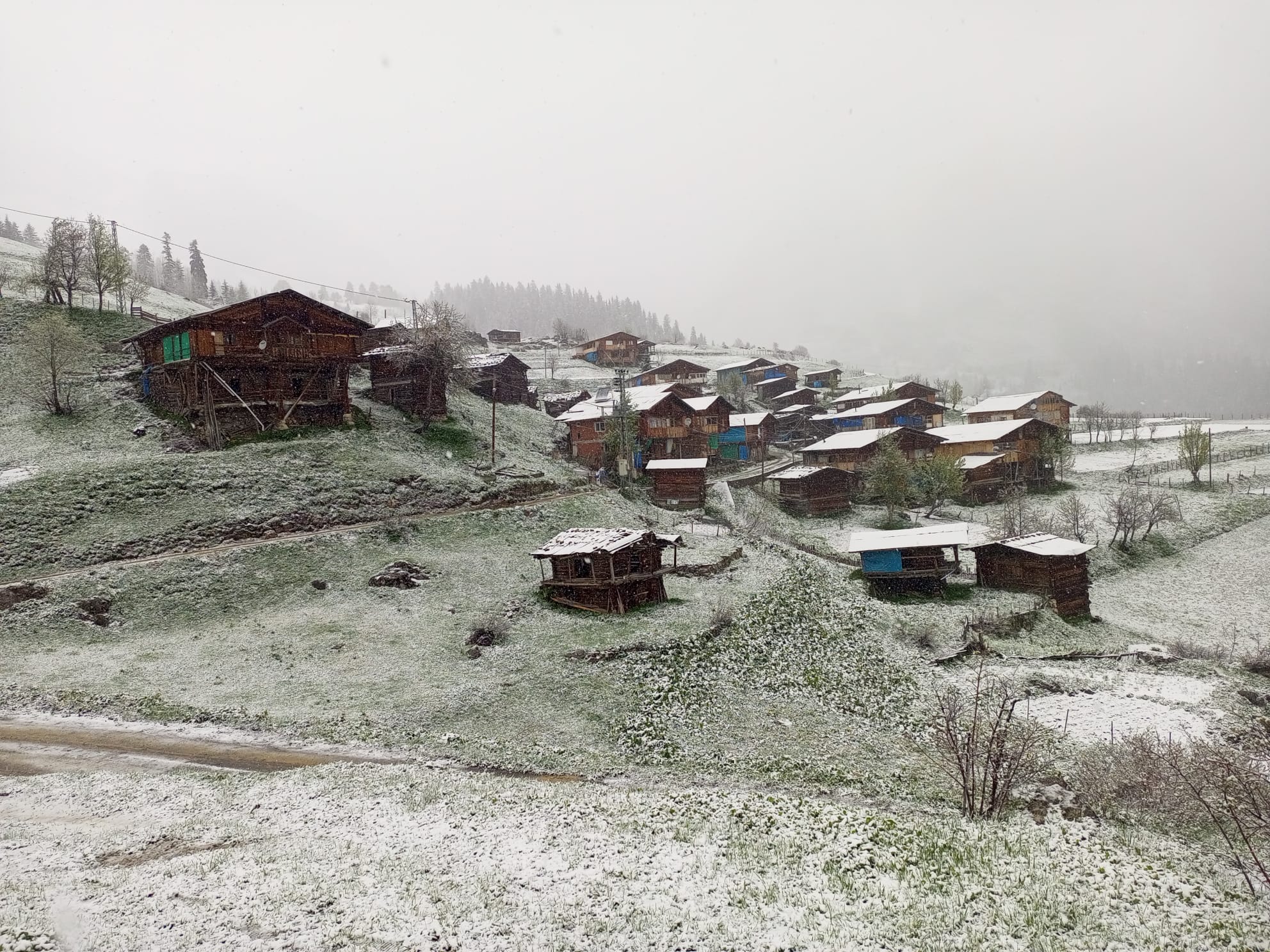 Hazirana 1 gün kala Şavşat’a kar yağdı: Yukarı Maden köyü beyaza büründü