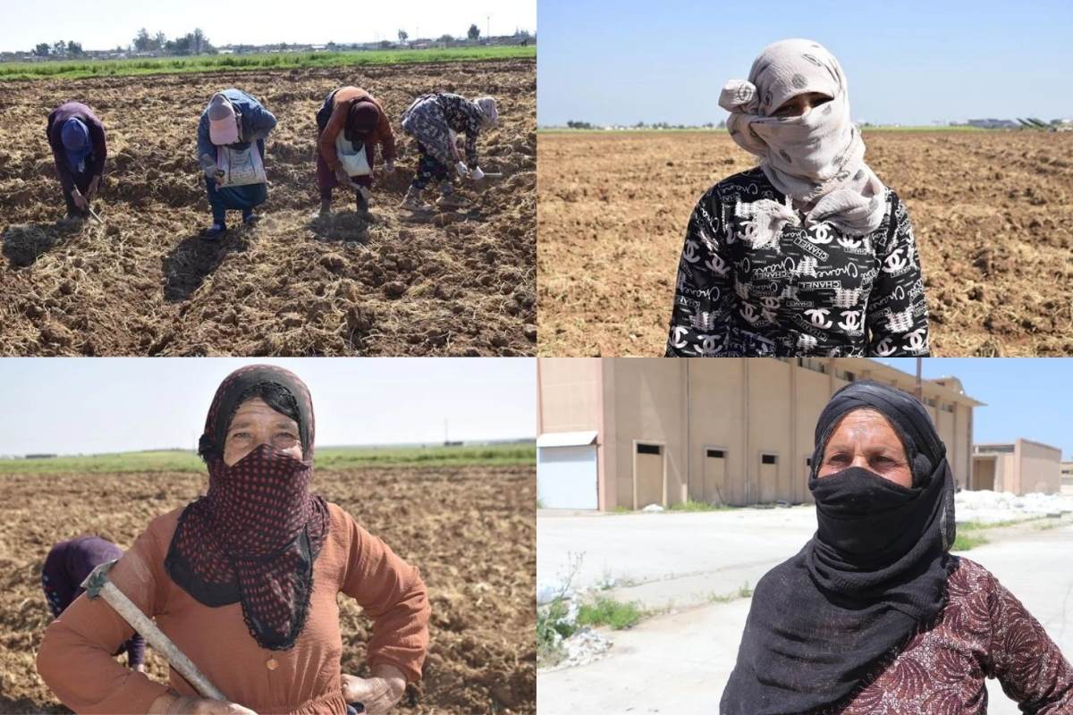 Görünmeyen emek: Rojavalı işçi kadınlar eşit ve adil ücret istiyor