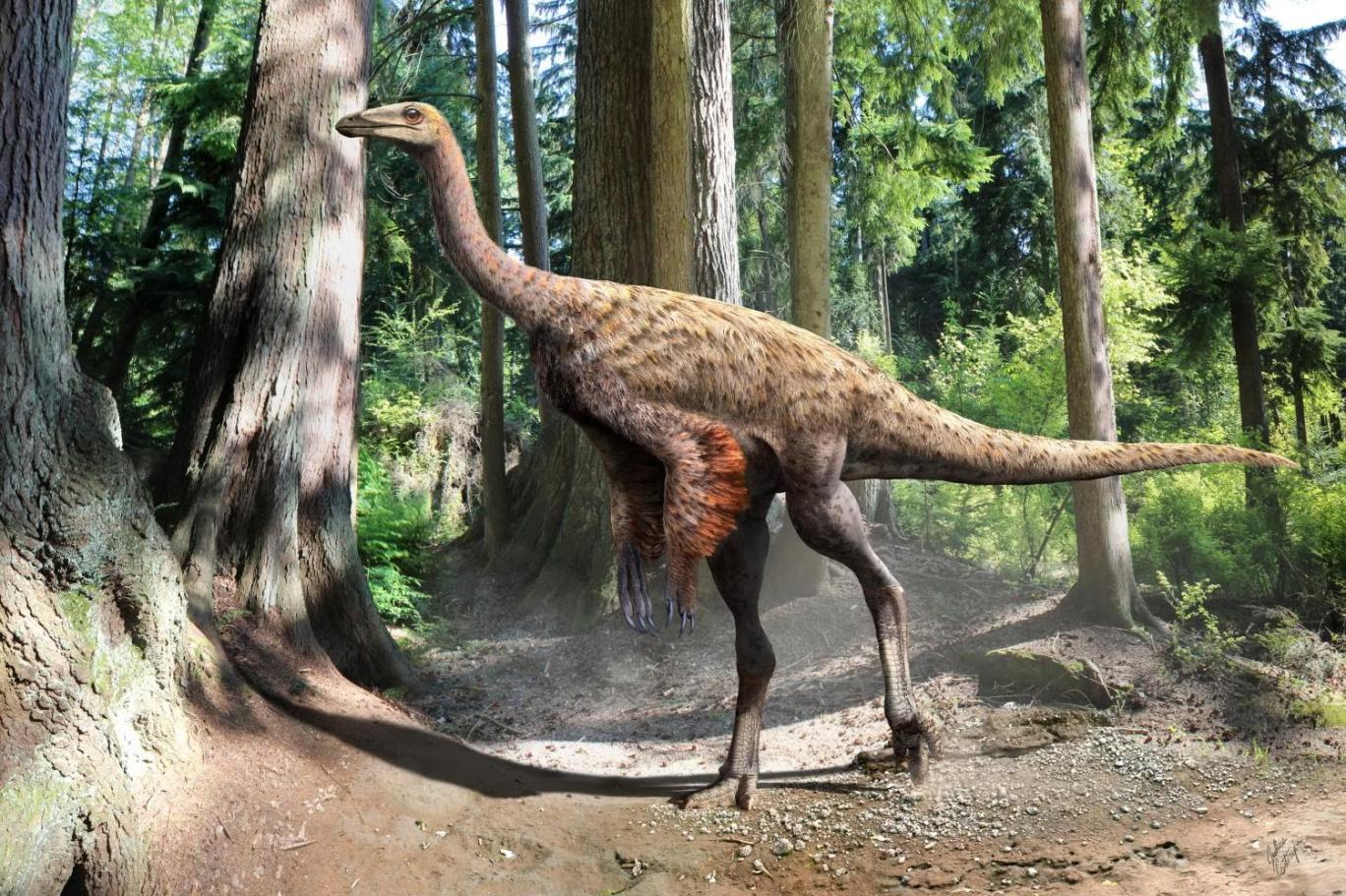 Kanada’da devekuşuna benzeyen dinozorun kuyruğu bulundu