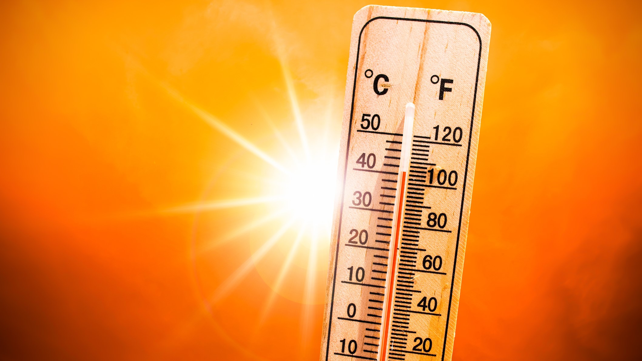 BM uyardı: El Nino ile birlikte aşırı sıcak riski kapıda
