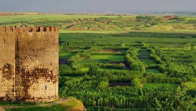 Hevsel Bahçeleri’ne ‘uyuşturucu’ baskını