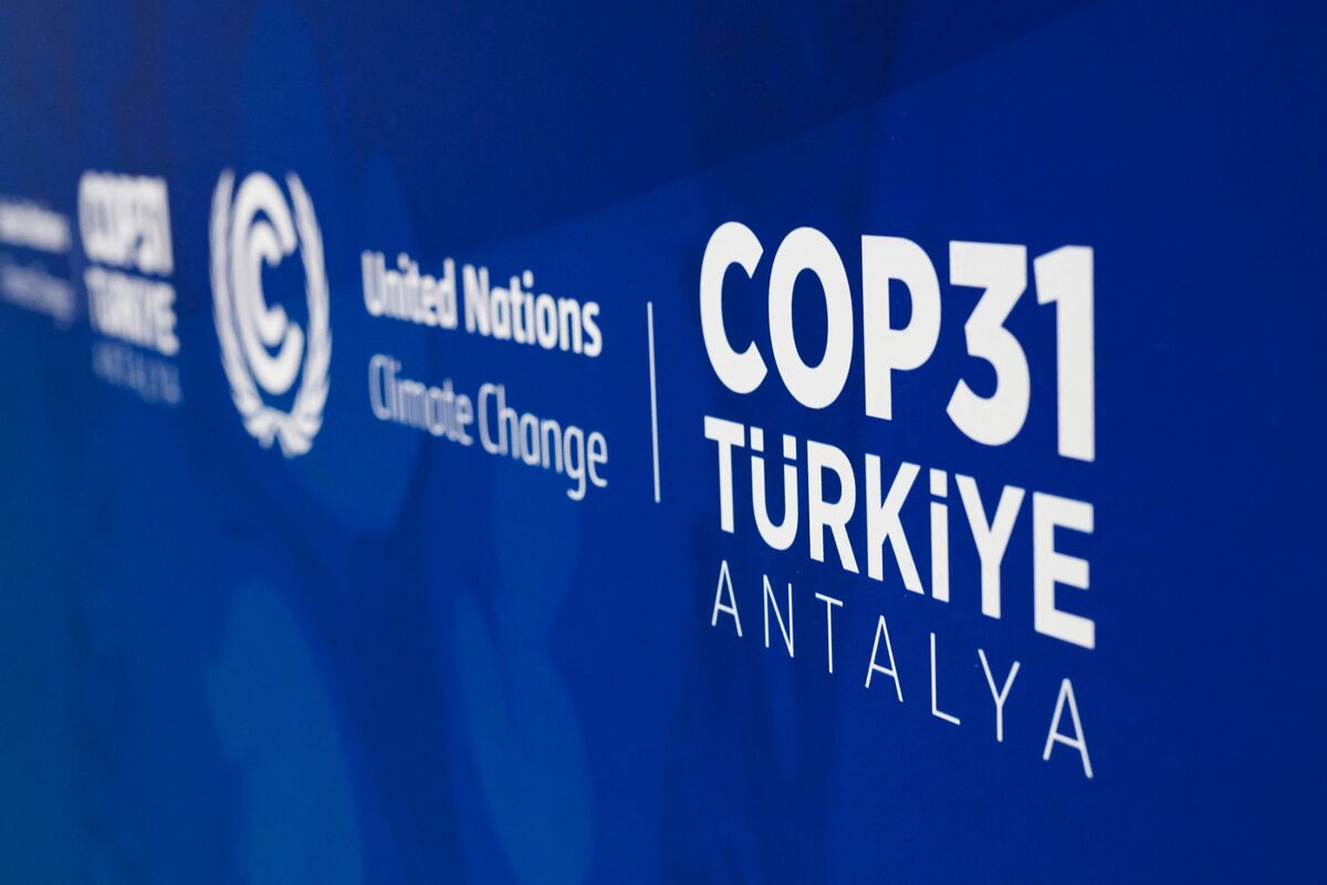COP31 gönüllülük programına 104 ülkeden 10 bini aşkın başvuru