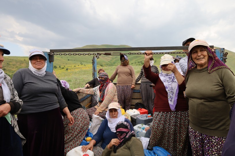 Klamlar, dayanışma ve barış: Berîvanlar yaylalarda yaşamı omuzluyor
