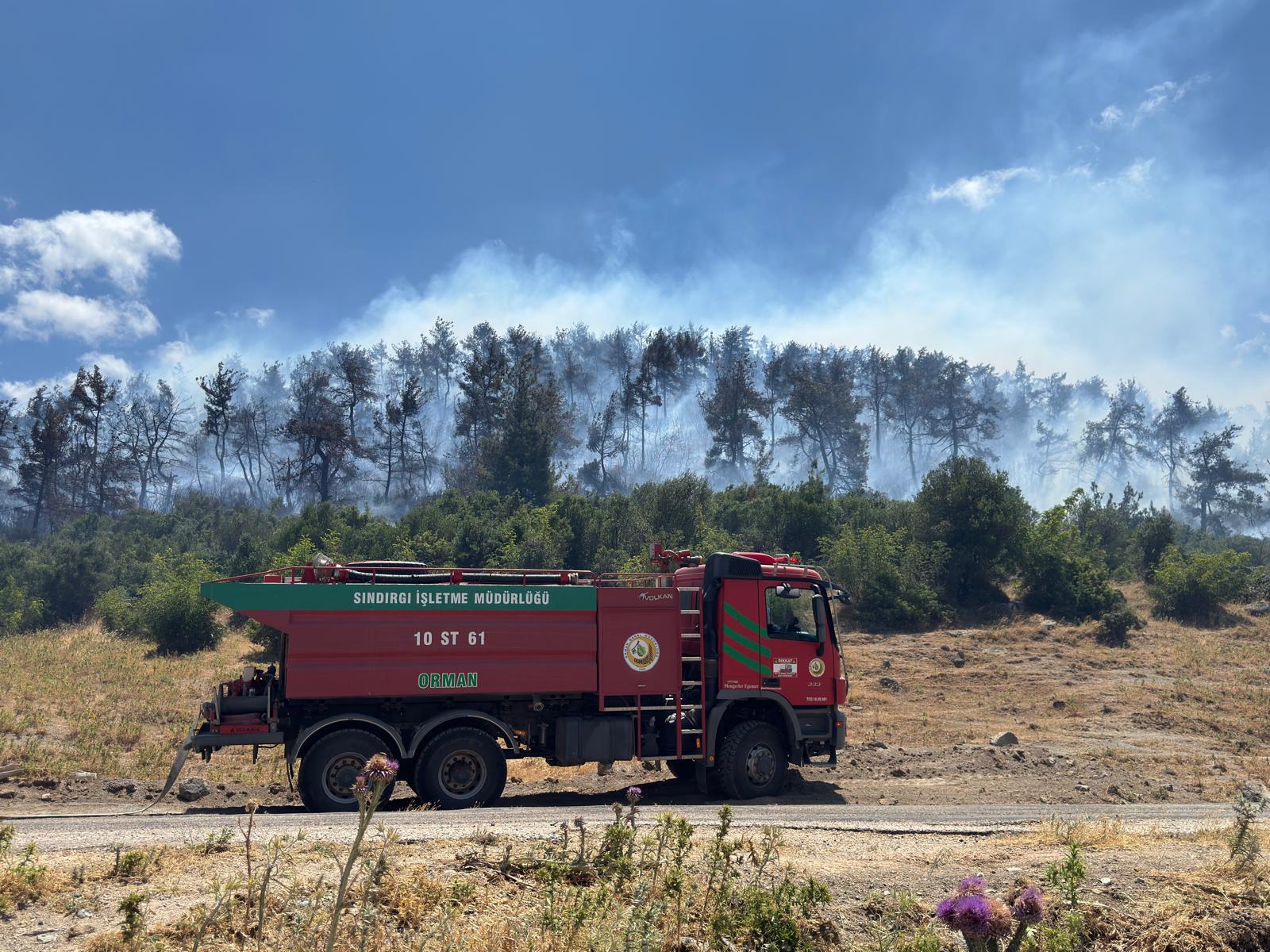 Balıkesir’de orman yangını