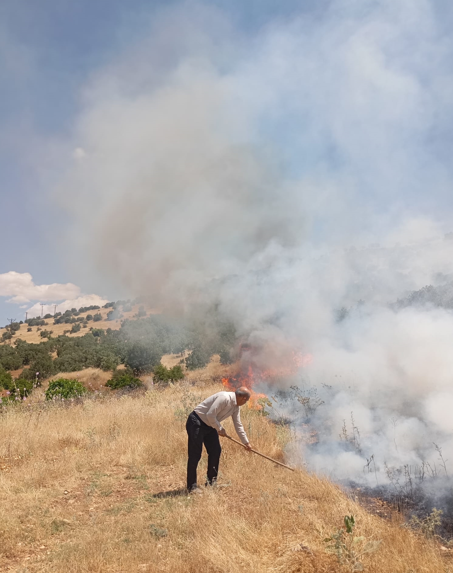Mardin’de orman yangını