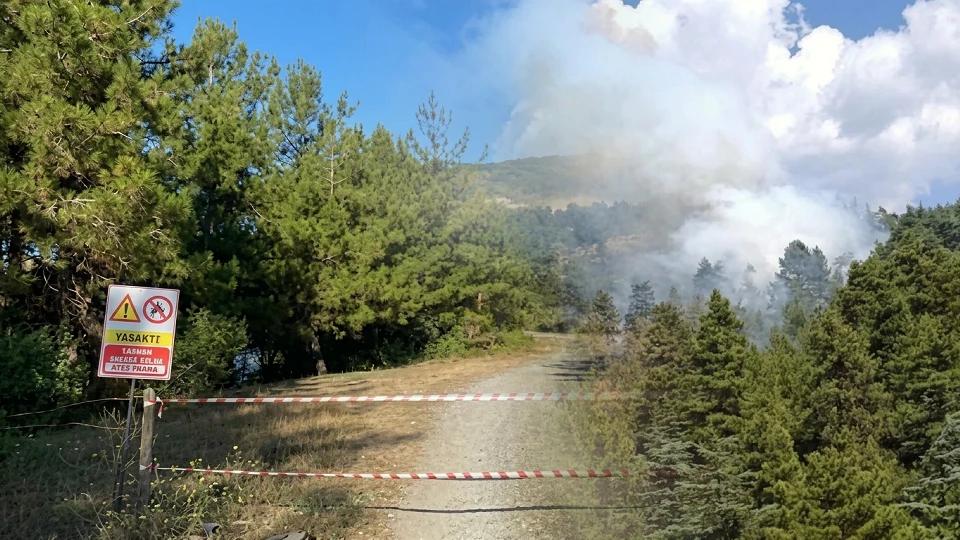  Ankara’da ormanlara giriş yasağı 15 Ekim’e kadar uzatıldı