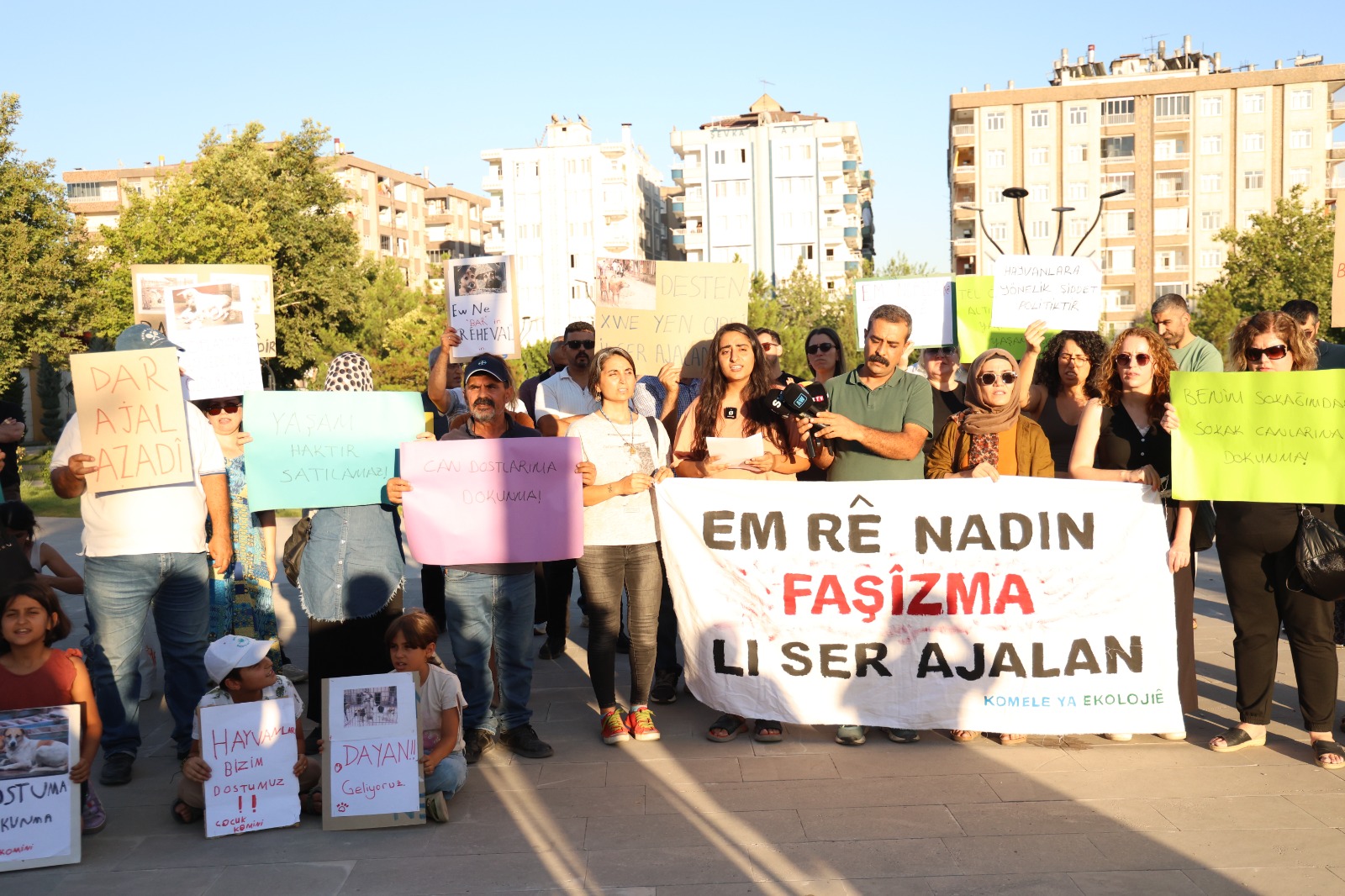 Diyarbakır’da hayvanların toplanmasına tepki: ‘Yaşam hakkı ağır biçimde ihlal edilmiştir’