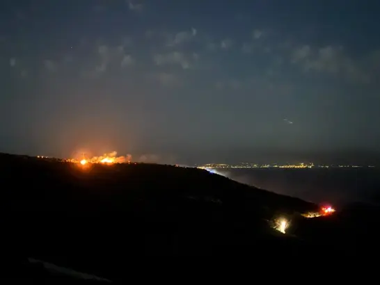 İzmir’in Dikili ilçesinde yangın