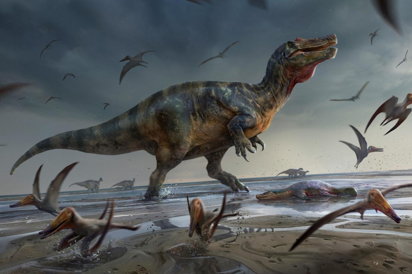 Dinozorları yok eden asteroide dair yeni bulgu