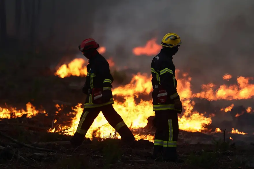Fransa’da orman yangınları: 474 kişi gözaltına alındı