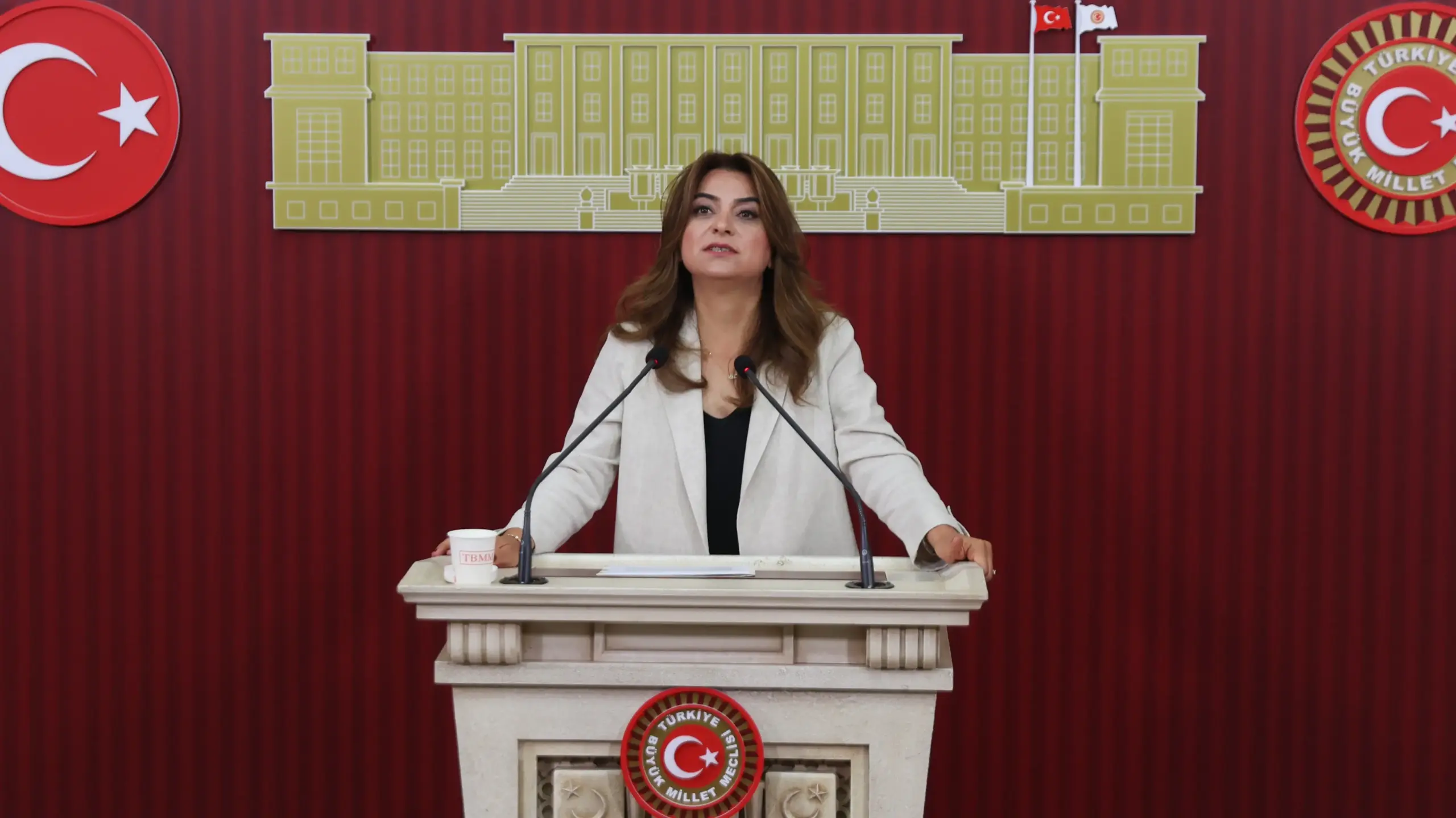 Gülistan Kılıç Koçyiğit: ‘Barış izleme ve takip kurulu oluşturulmalı’