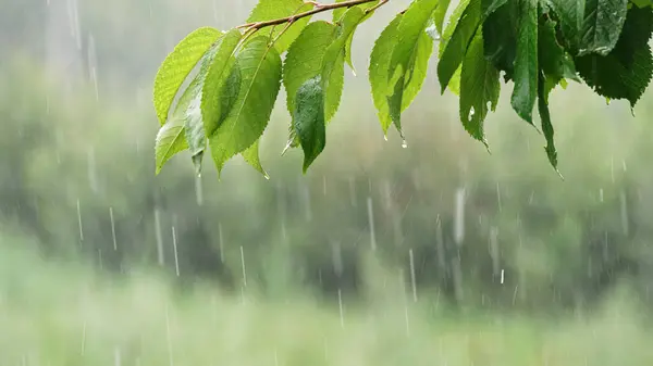 Meteoroloji açıkladı: Bugün hava nasıl olacak, hangi illerde sarı kod var?