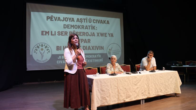 Meral Danış Beştaş: ‘Gelinen aşamada temel beklenti çerçeve yasanın çıkarılması’