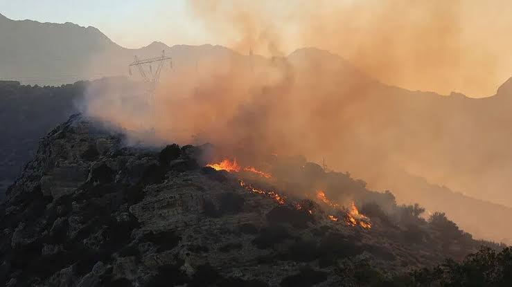 Girit Adası’ndaki orman yangınında 2 itfaiyeci yaşamını yitirdi