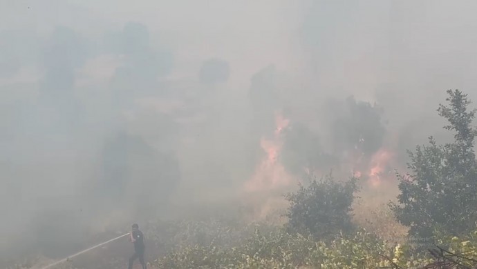 Lice’de orman yangını