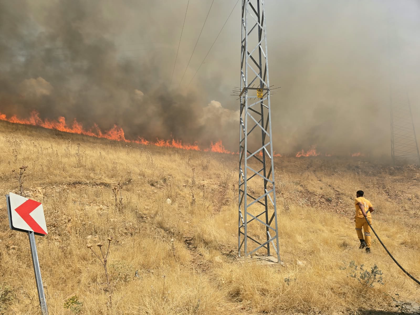Diyarbakır’da ormana sıçrayan yangın söndürüldü