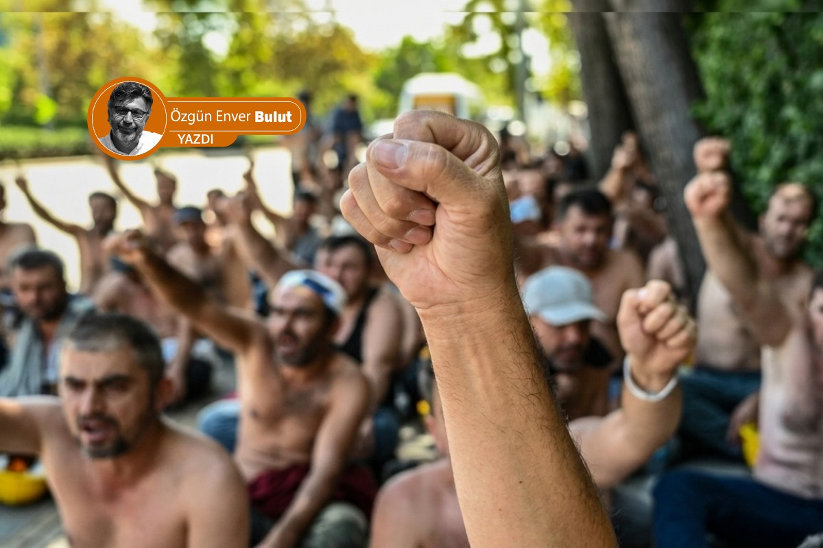 Yaşamımıza yeniden giren sözcükler