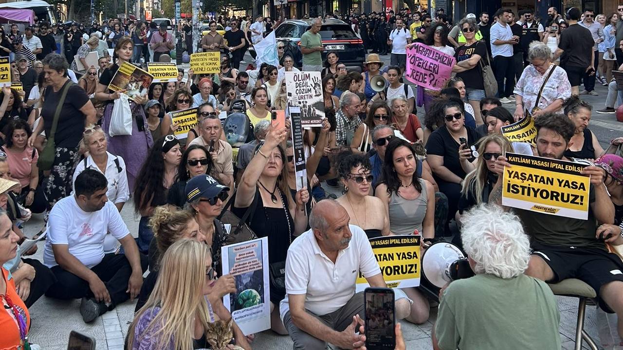 Hayvan hakları savunucuları Kadıköy’den seslendi: ‘Halka ‘bu yasayı uygulamayacağız’ diyenler, on binlerce hayvanı ölüme gönderdiler’