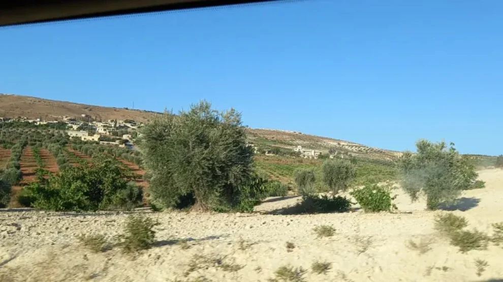 Afrin’de hak ihlalleri: Toprak sahiplerinden haraç alınıyor