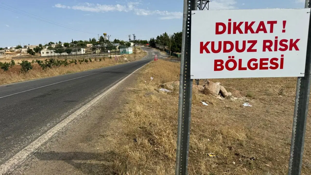 Ardahan’da kuduz vakası: Bir bölge karantinaya alındı