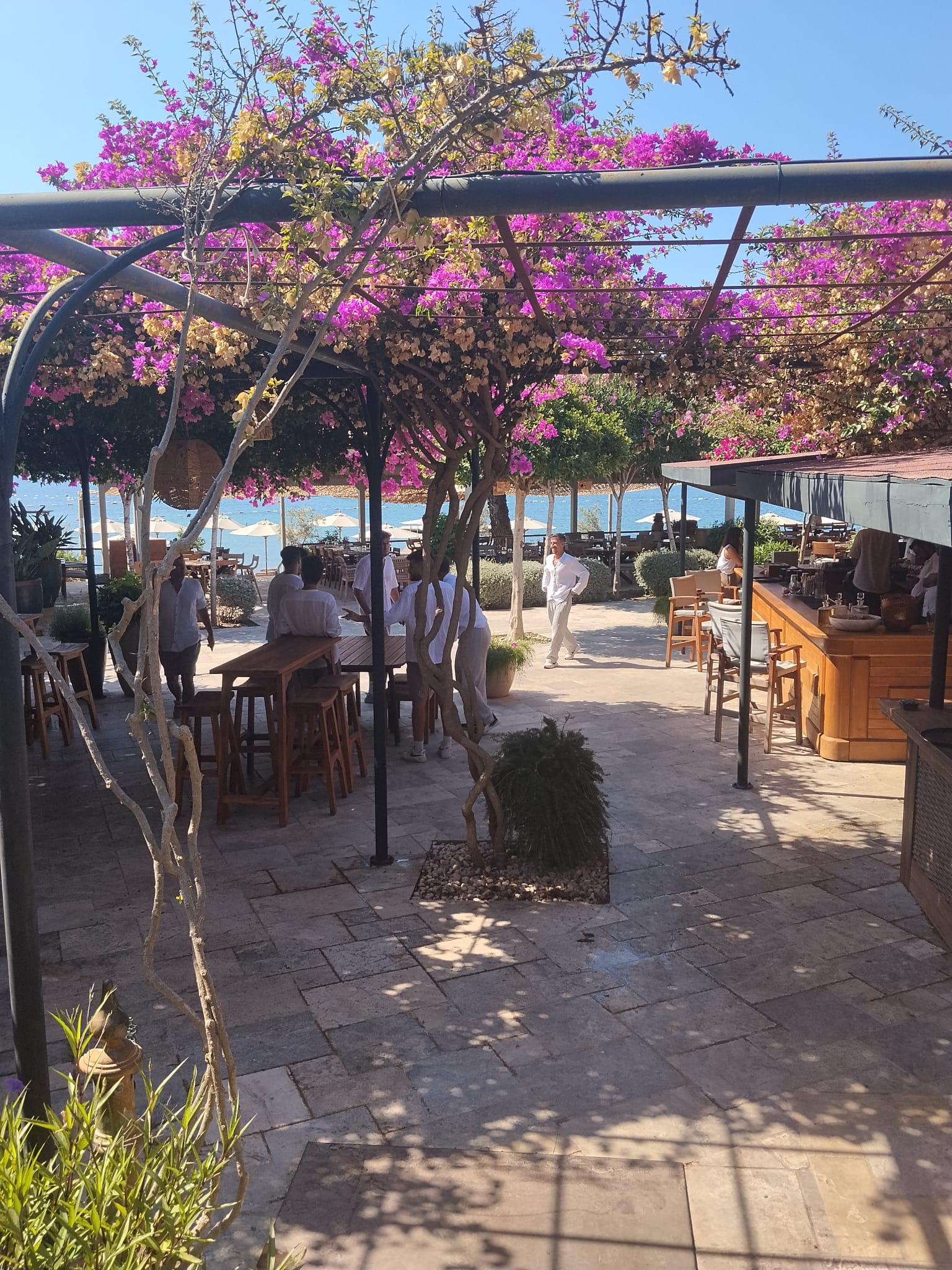 Bodrum’da beach emekçileri iş durdurdu