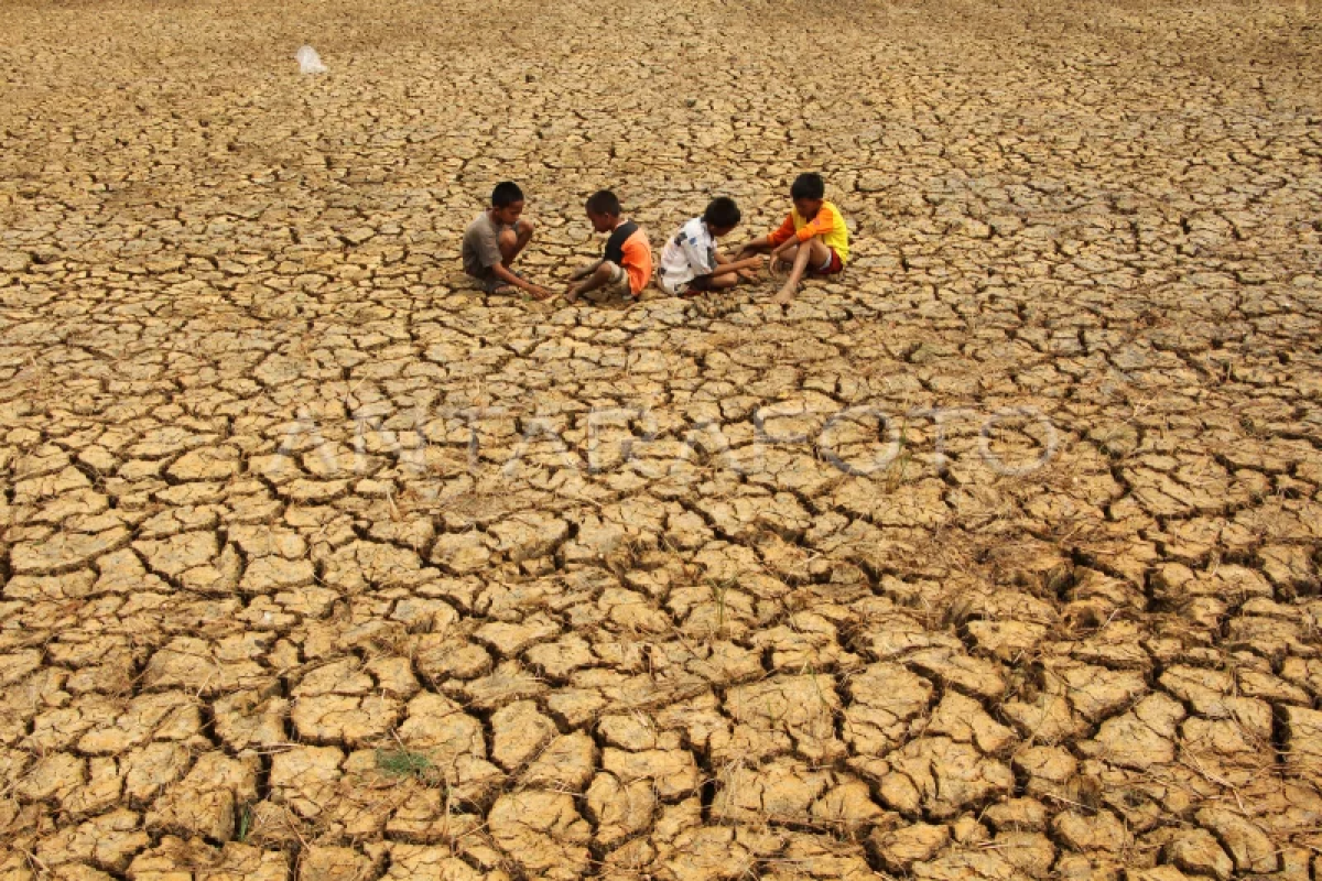 10 soruda El Nino: Tarihin en güçlüsü mü geliyor, Türkiye etkilenecek mi?