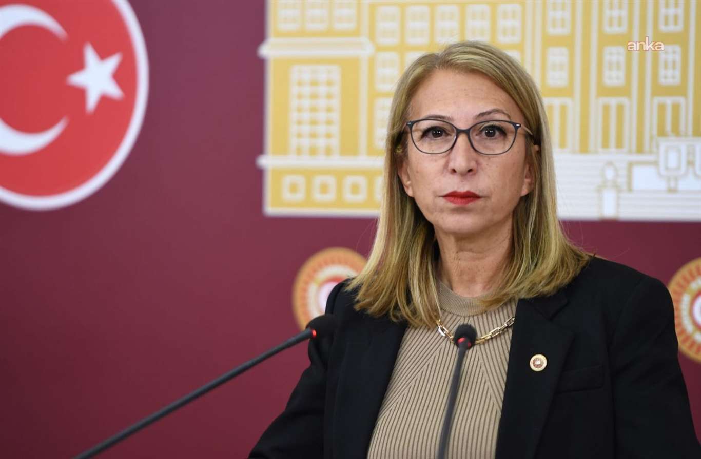 YENİ Parti Milletvekili Derici: ‘Çerçeve Yasa oylamasında hayır oyu vereceğim’
