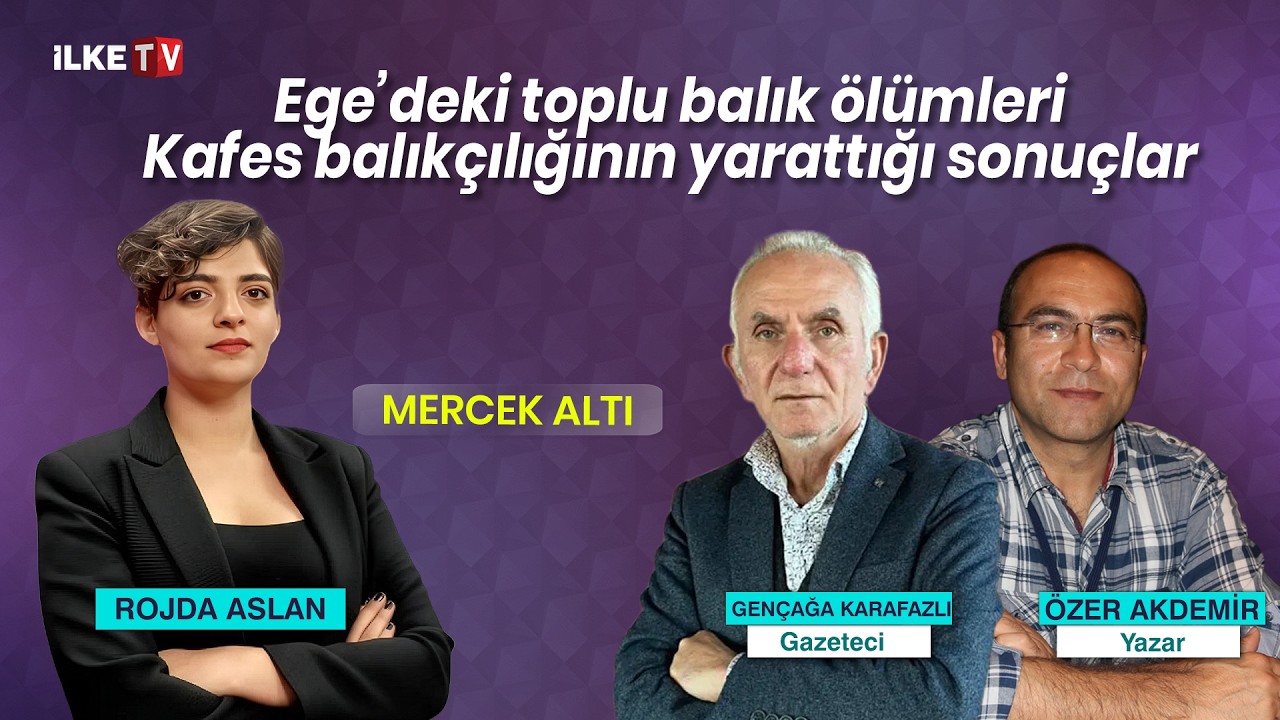 📹 Ege’deki toplu balık ölümleri, Kafes balıkçılığının sonuçları