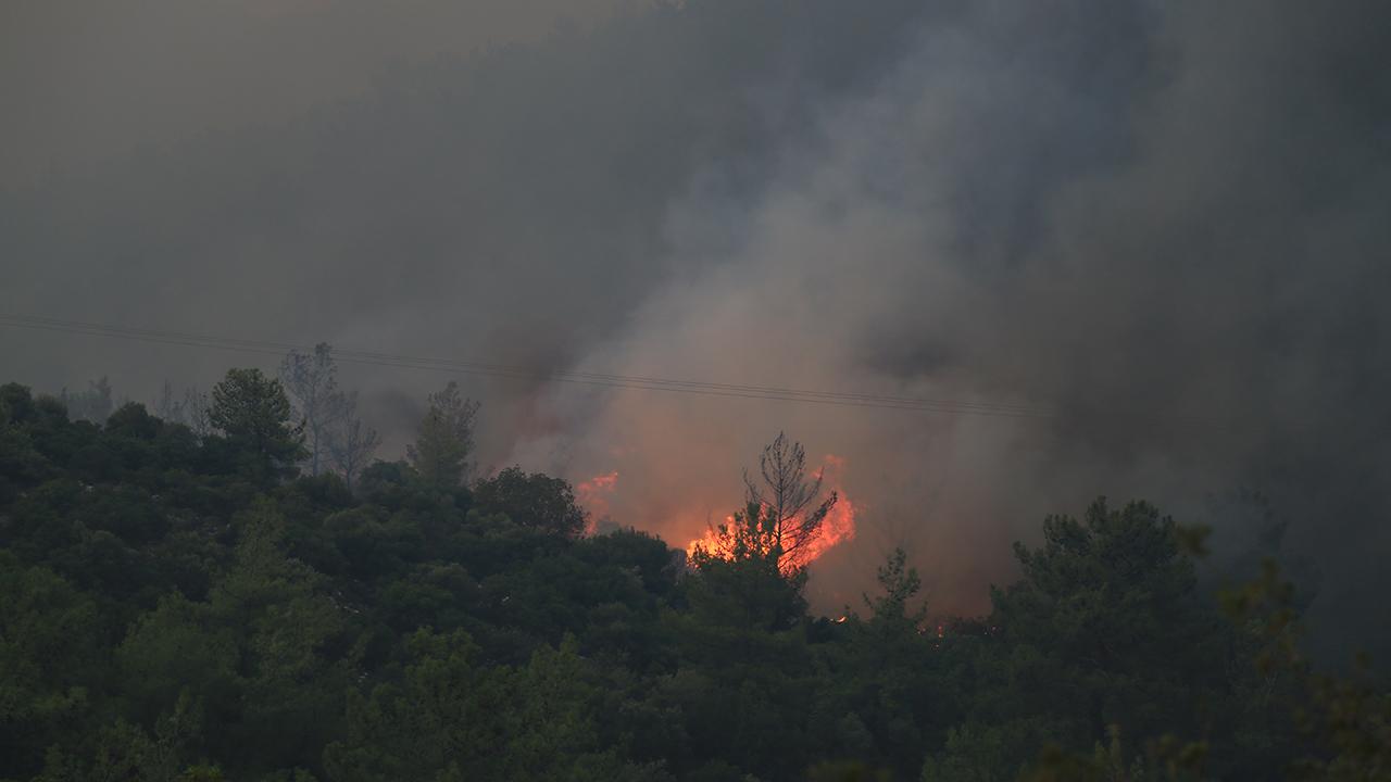 Muğla’da orman yangını