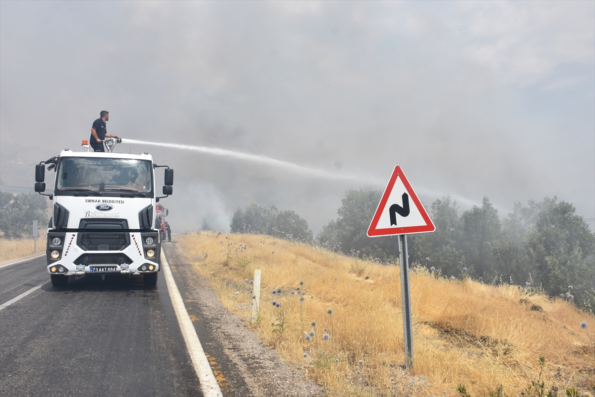 Şırnak’ta ormanlık alana sıçrayan yangına müdahale ediliyor