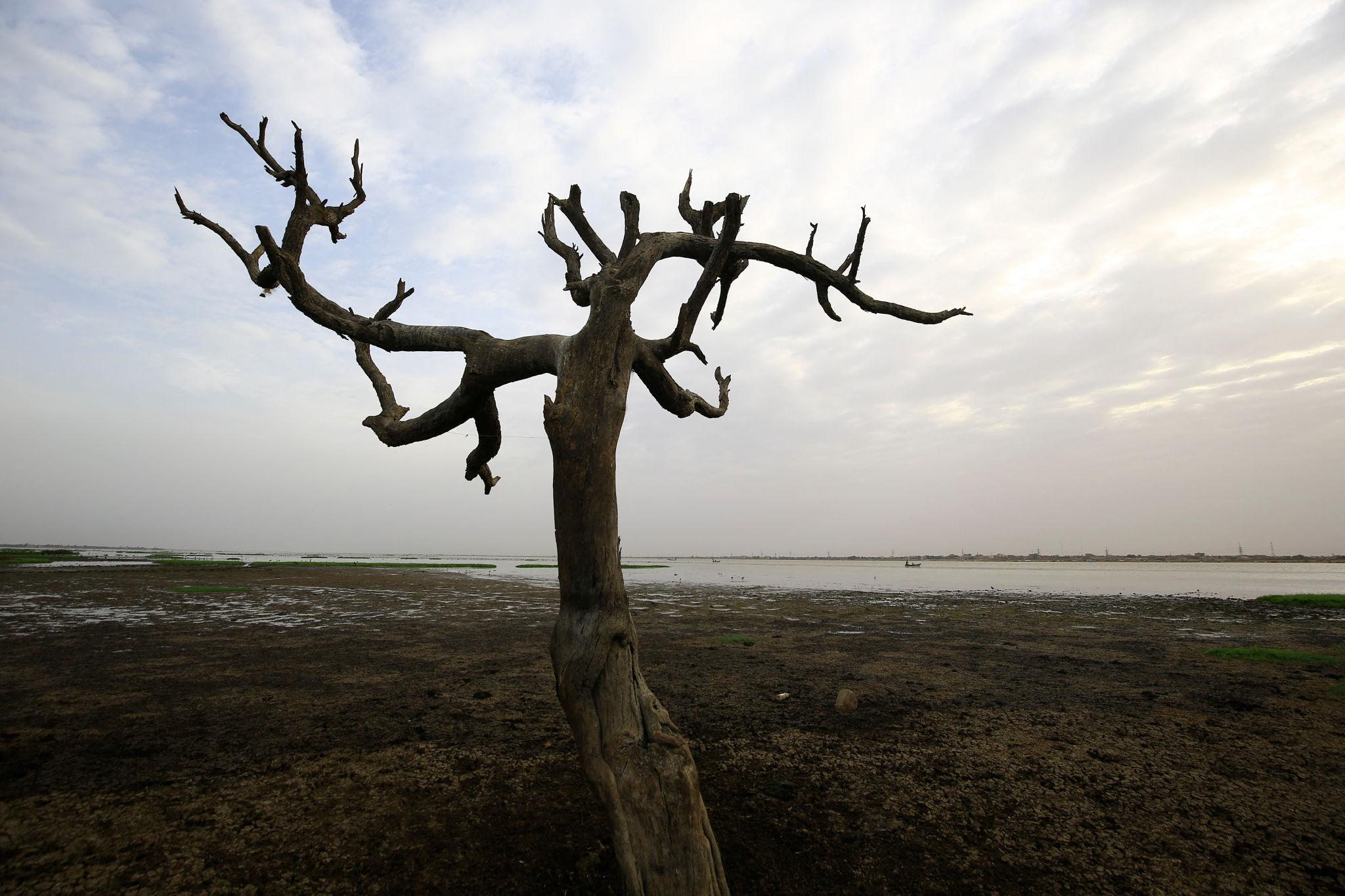 Sudan’da savaşa su krizi eklendi: Nil Nehri çekiliyor