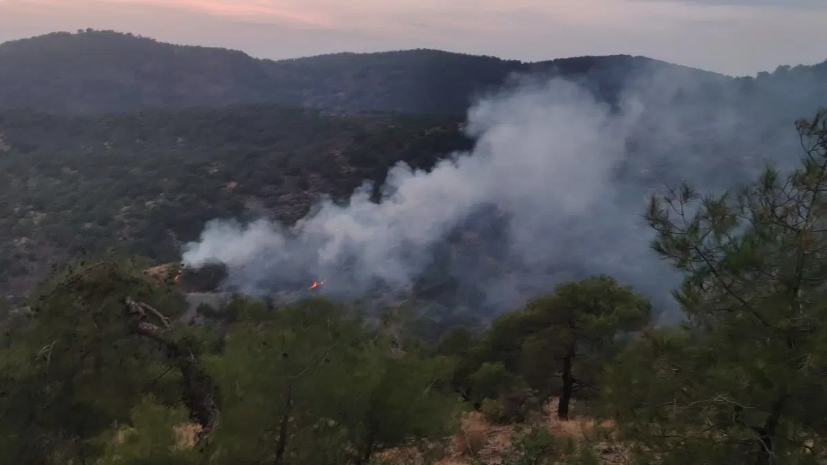 Gaziantep’te orman yangını: 4 dönüm alan zarar gördü