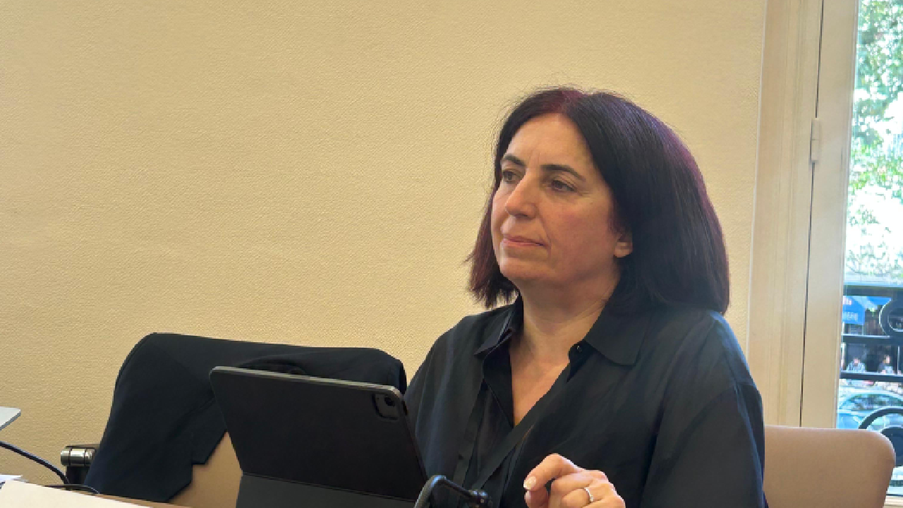 DEM Partili Çelenk LGBTİ+ operasyonlarını Avrupa Konseyi’nde gündeme getirdi: ‘Hepimize yönelik bir saldırı’