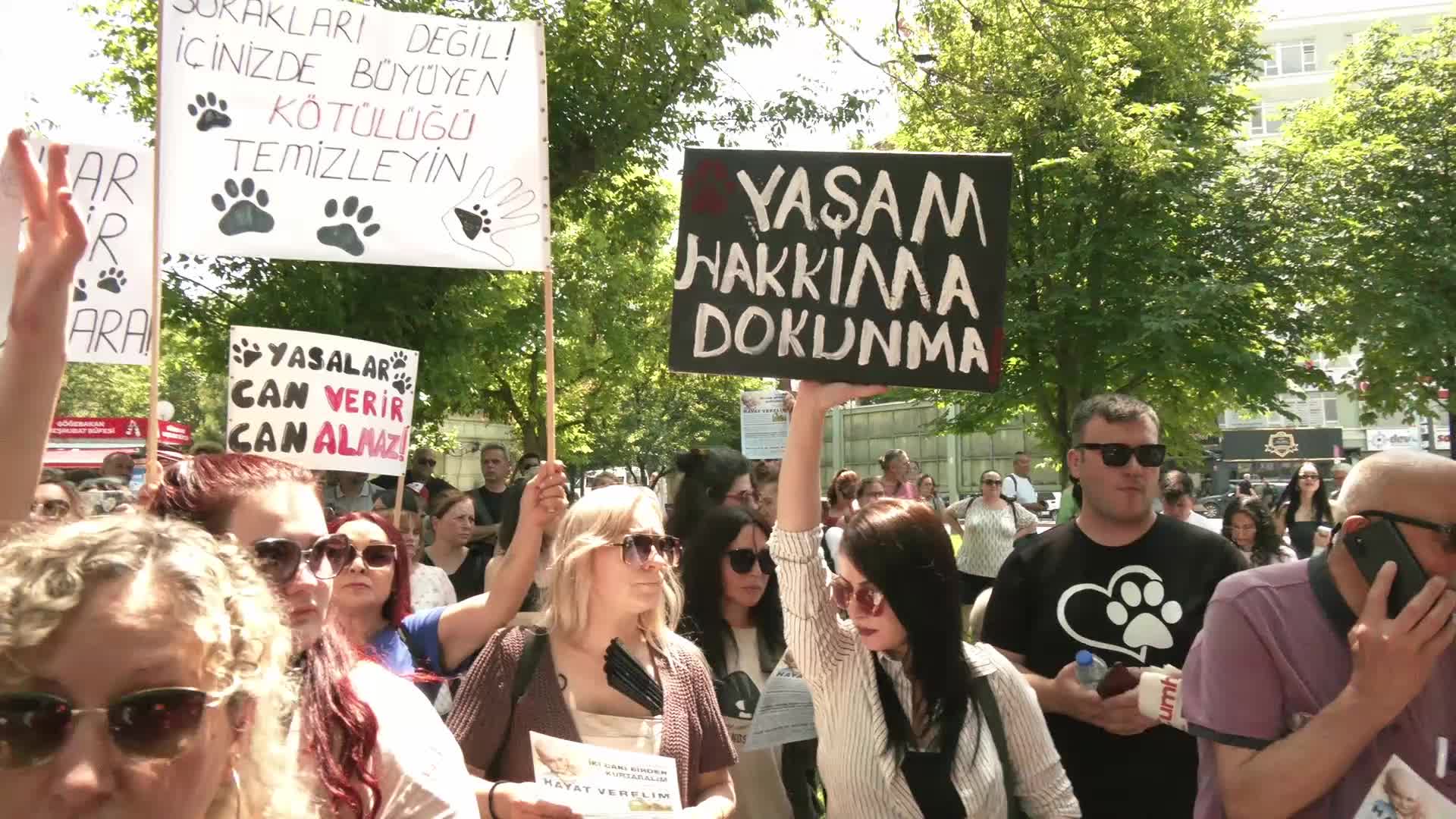 Erzurum’da kediye şiddet uygulayan kişi gözaltına alındı