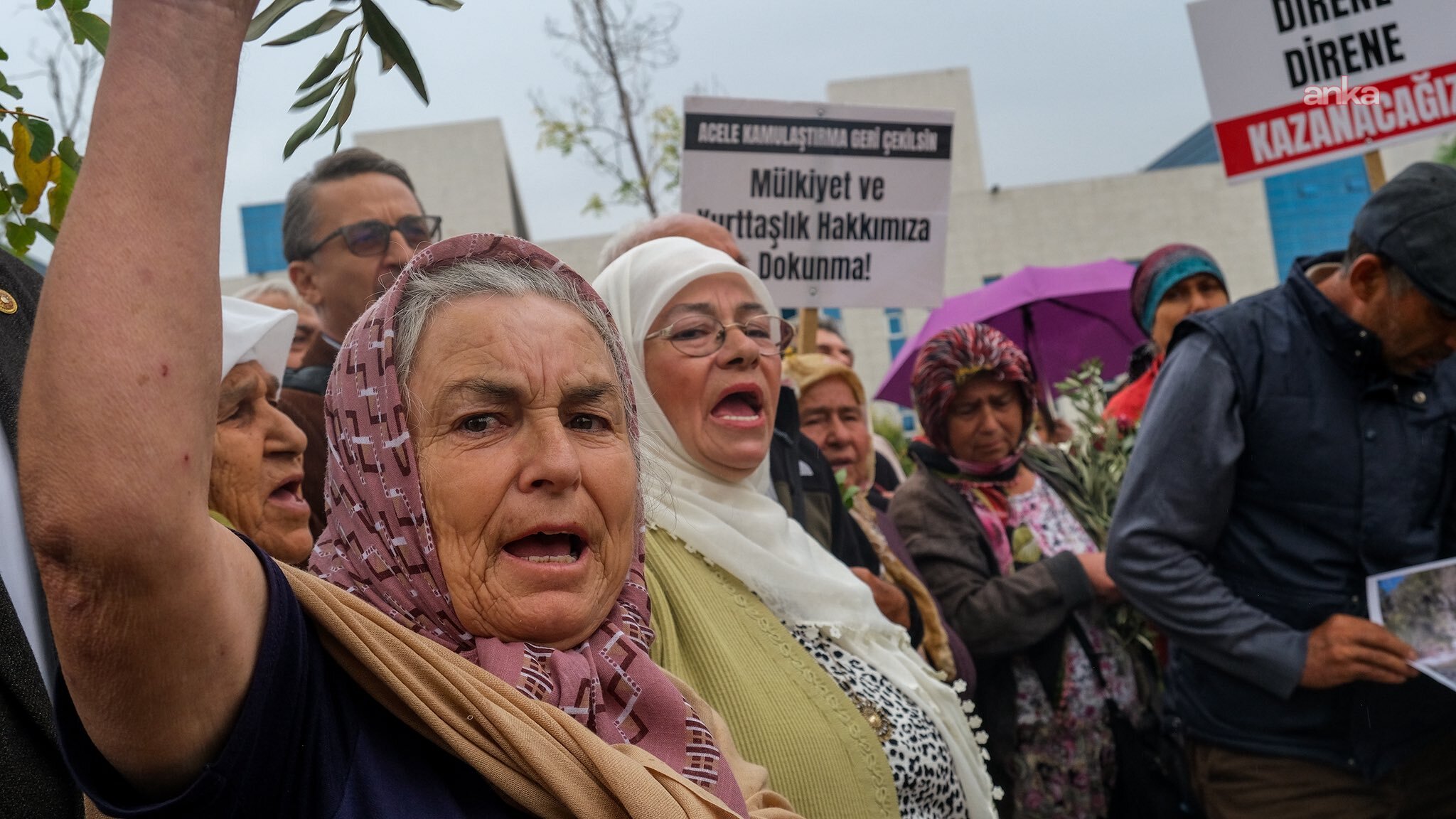 Akbelen köylüleri Danıştay önünde: ‘Köyümüzü, toprağımızı, zeytinlerimizi vermeyeceğiz’