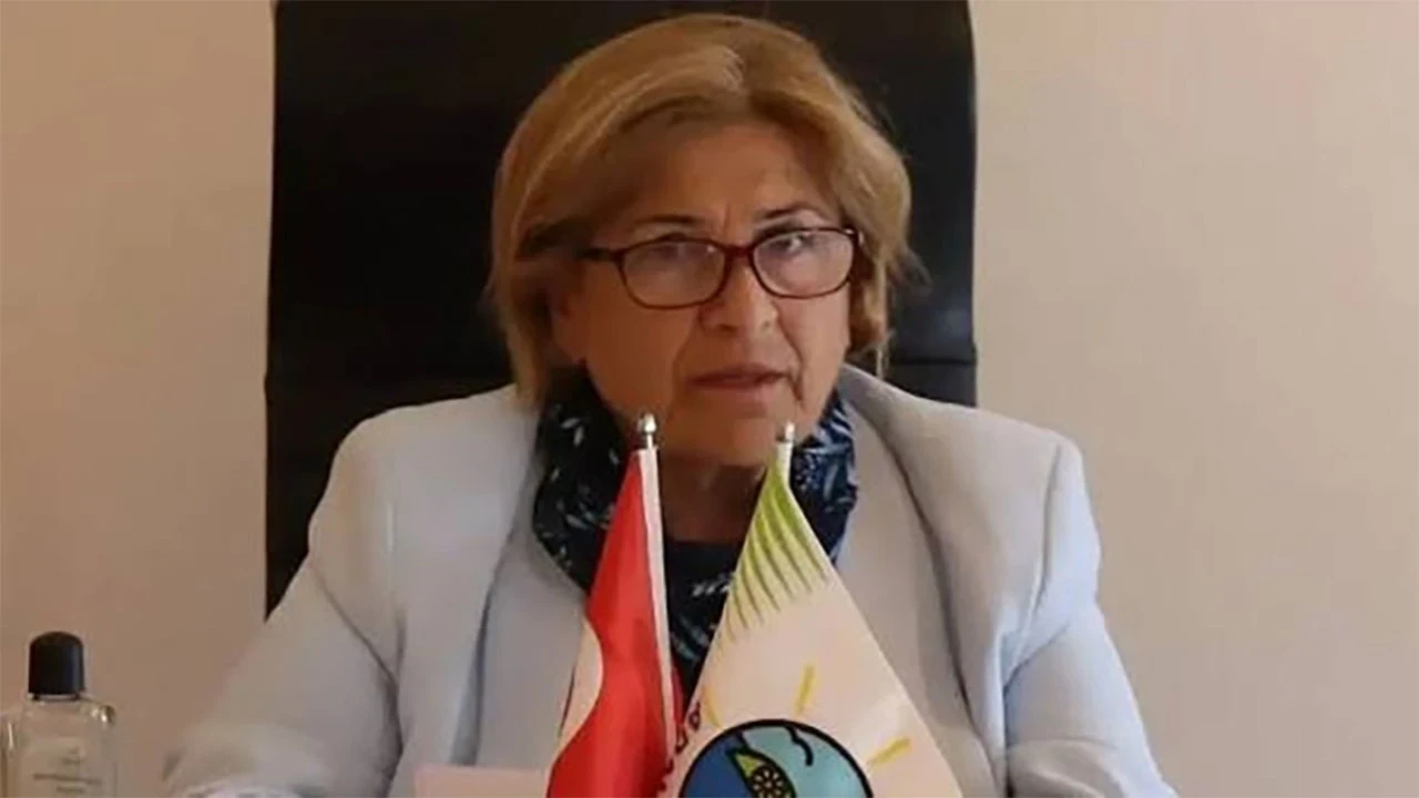 Adalar Belediye Başkanvekili Medine Pamuk istifa etti: Yeni seçim 21 Eylül’de