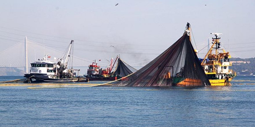 Yunanistan’da balıkçılar yüksek akaryakıt fiyatları nedeniyle eylemde
