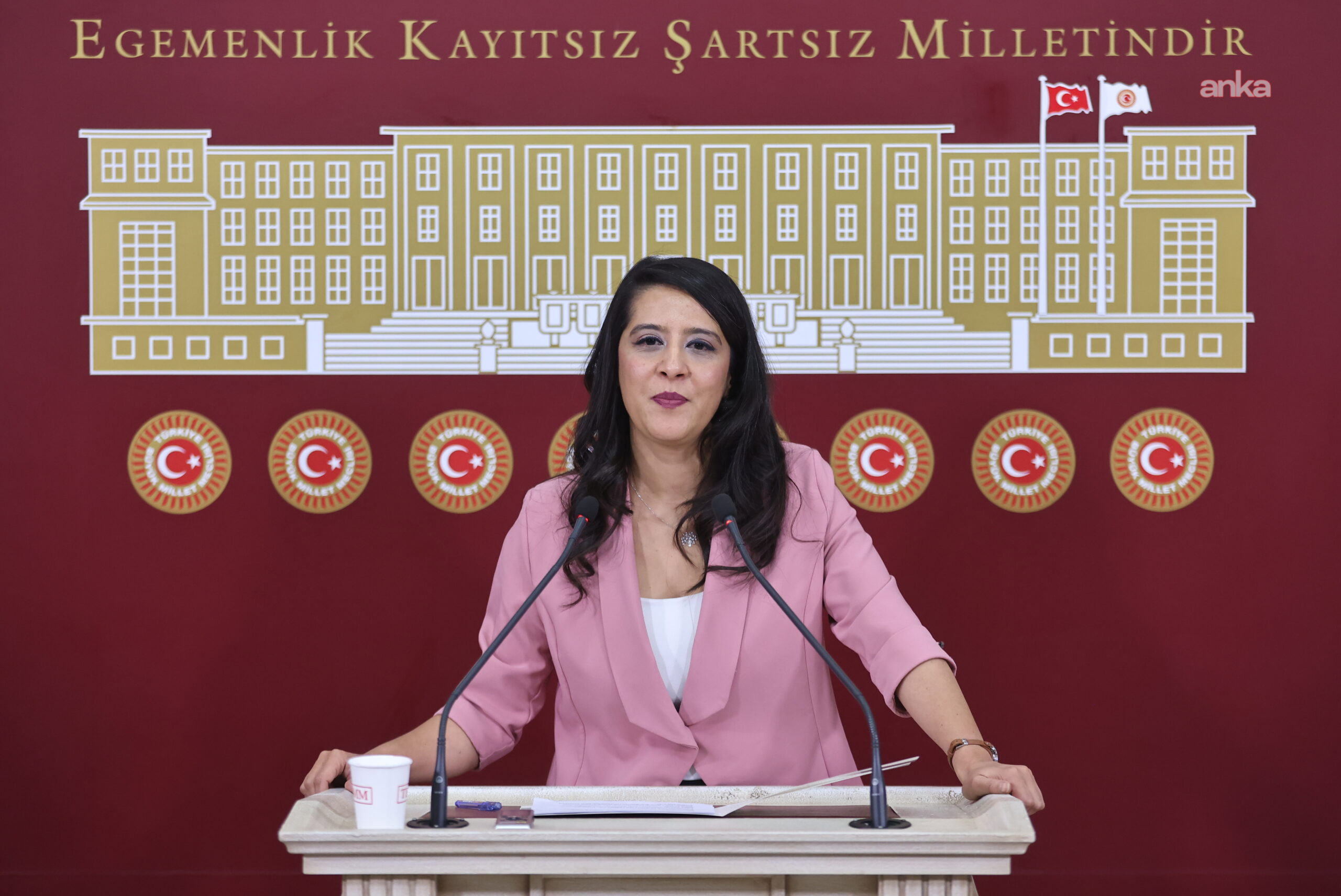 EMEP’li Sevda Karaca, baro başkanının “70 avukatı hâkim ve savcı yaptık” açıklamasını Gürlek’e sordu