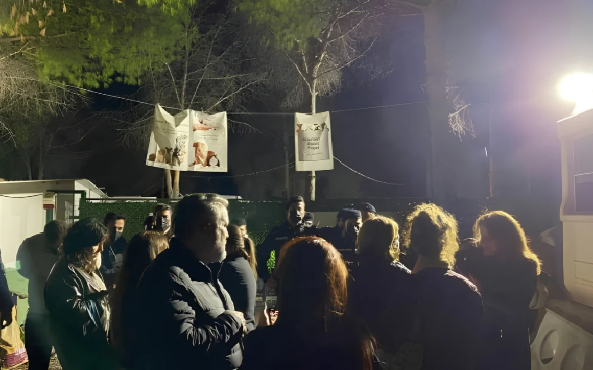 Nereye götürüldükleri bilinmiyor: Ege Üniversitesi kampüsünde 200 köpek toplandı