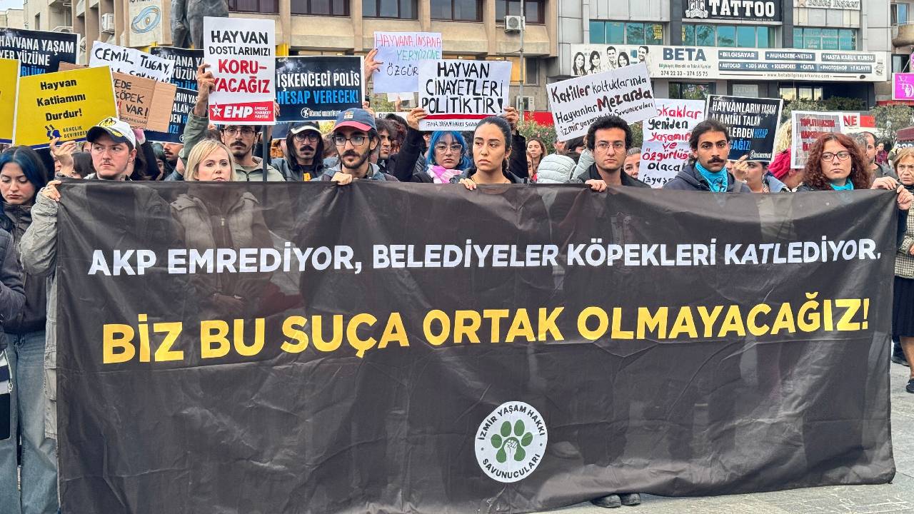 İzmir’de, üniversite kampüsündeki köpeklerin toplatılmasına tepki